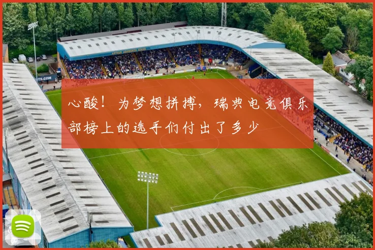 心酸!为梦想拼搏,瑞典电竞俱乐部榜上的选手们付出了多少